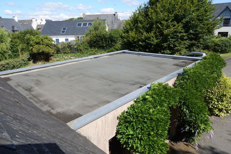 How Flat Roof Repair Prevents Structural Water Damage