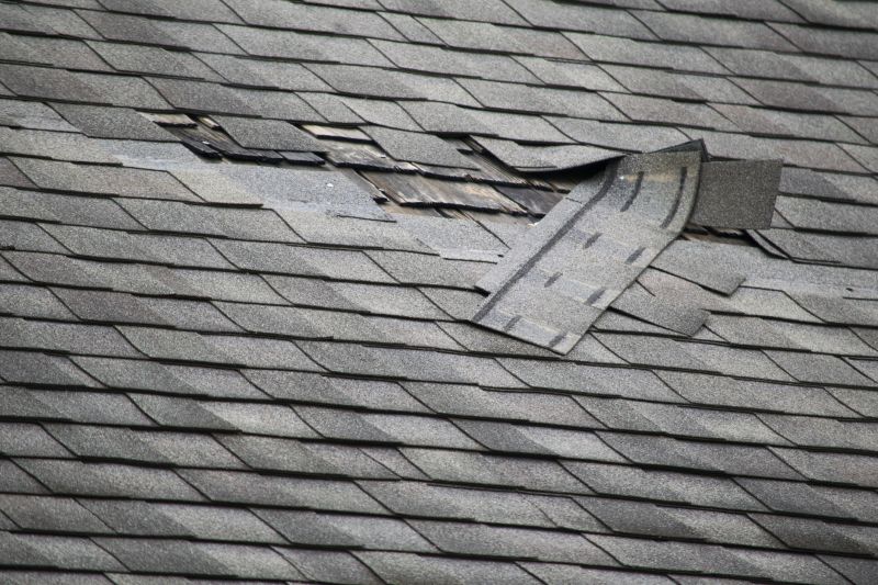 Roofing Membrane Damage